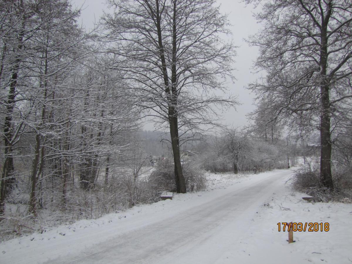 Domki Polanica Exteriér fotografie
